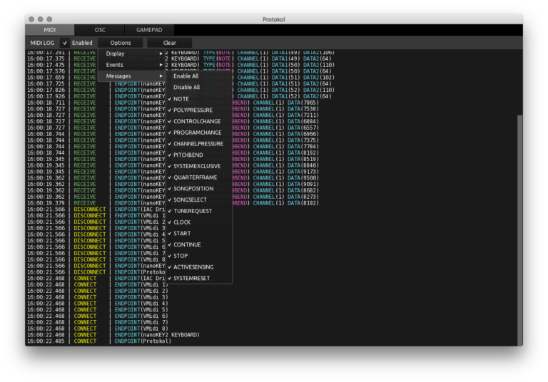 Protokol software interface